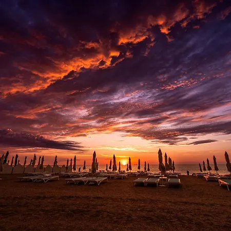 Alcor 4* Mamaia