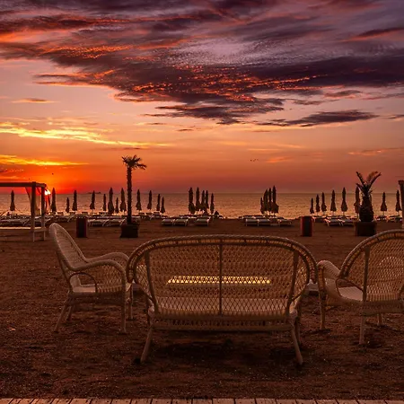 Alcor Mamaia