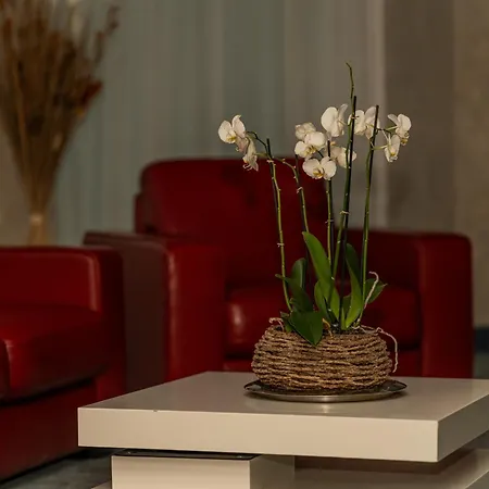 Alcor Hotel Mamaia